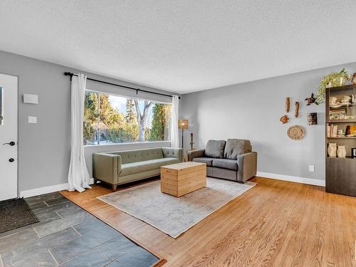 6716 87 St Nw, Edmonton, AB - Indoor Photo Showing Living Room