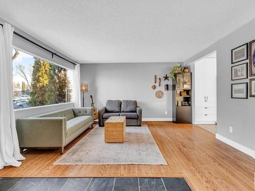 6716 87 St Nw, Edmonton, AB - Indoor Photo Showing Living Room