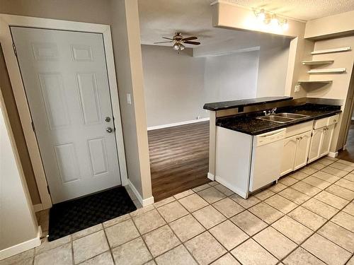 5421 Hillview Crescent, Edmonton, AB - Indoor Photo Showing Kitchen With Double Sink