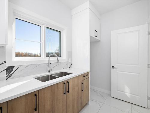 1415 11 Avenue, Edmonton, AB - Indoor Photo Showing Kitchen With Double Sink