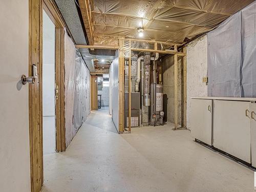 12024 53 Street, Edmonton, AB - Indoor Photo Showing Basement