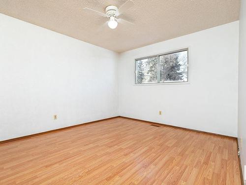 12024 53 Street, Edmonton, AB - Indoor Photo Showing Other Room