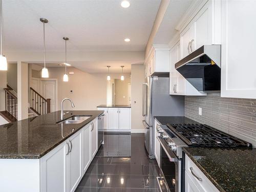 16320 17 Avenue Sw, Edmonton, AB - Indoor Photo Showing Kitchen With Double Sink With Upgraded Kitchen