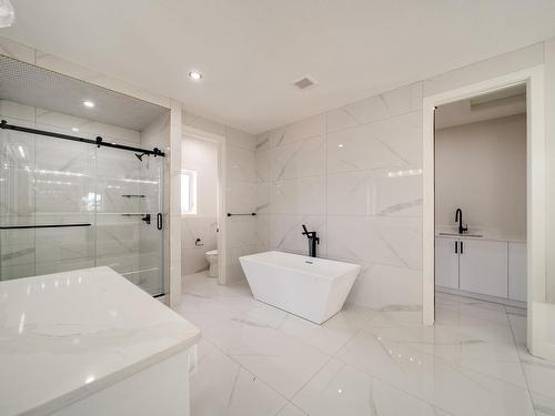 4003 Ginsburg Crescent, Edmonton, AB - Indoor Photo Showing Bathroom