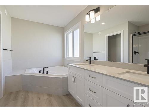 2804 194 Street, Edmonton, AB - Indoor Photo Showing Bathroom