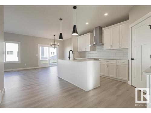 2804 194 Street, Edmonton, AB - Indoor Photo Showing Kitchen With Upgraded Kitchen