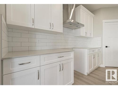 2804 194 Street, Edmonton, AB - Indoor Photo Showing Kitchen