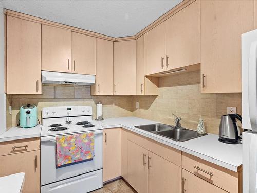 4311 38 Street, Edmonton, AB - Indoor Photo Showing Kitchen With Double Sink