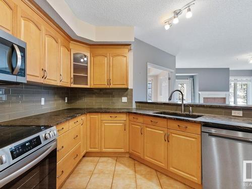 201 9803 96A Street, Edmonton, AB - Indoor Photo Showing Kitchen