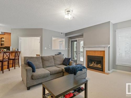 201 9803 96A Street, Edmonton, AB - Indoor Photo Showing Living Room With Fireplace