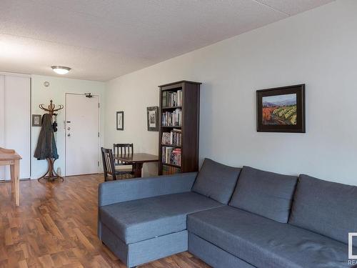 304 9917 110 Street, Edmonton, AB - Indoor Photo Showing Living Room