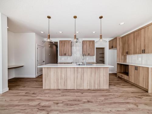 3320 168 Street, Edmonton, AB - Indoor Photo Showing Kitchen