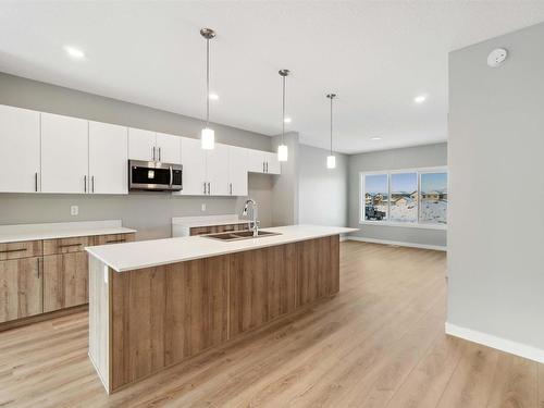 6256 175 Avenue, Edmonton, AB - Indoor Photo Showing Kitchen With Double Sink With Upgraded Kitchen