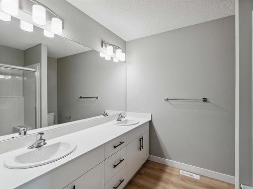 6256 175 Avenue, Edmonton, AB - Indoor Photo Showing Bathroom