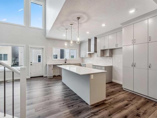 2808 194 Street, Edmonton, AB - Indoor Photo Showing Kitchen With Upgraded Kitchen