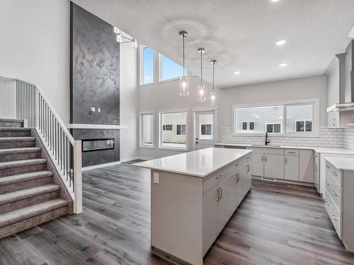 2808 194 Street, Edmonton, AB - Indoor Photo Showing Kitchen With Upgraded Kitchen