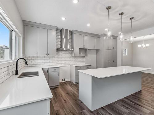 2808 194 Street, Edmonton, AB - Indoor Photo Showing Kitchen With Double Sink With Upgraded Kitchen