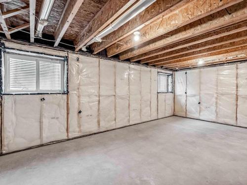 2808 194 Street, Edmonton, AB - Indoor Photo Showing Basement