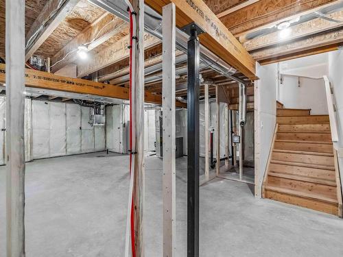 2808 194 Street, Edmonton, AB - Indoor Photo Showing Basement