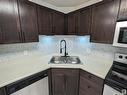 6129 7331 South Terwillegar Drive Nw, Edmonton, AB  - Indoor Photo Showing Kitchen With Double Sink 