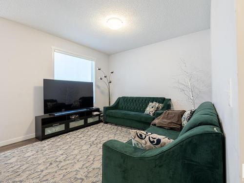 1512 169 Street, Edmonton, AB - Indoor Photo Showing Living Room