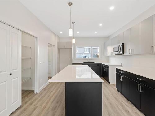 1647 16 Avenue, Edmonton, AB - Indoor Photo Showing Kitchen With Upgraded Kitchen