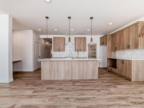 3319 169 Street, Edmonton, AB - Indoor Photo Showing Kitchen