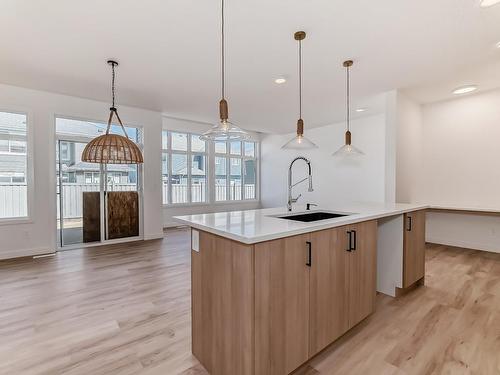 3319 169 Street, Edmonton, AB - Indoor Photo Showing Kitchen With Upgraded Kitchen