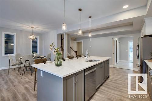 3124 167 Street, Edmonton, AB - Indoor Photo Showing Kitchen With Double Sink