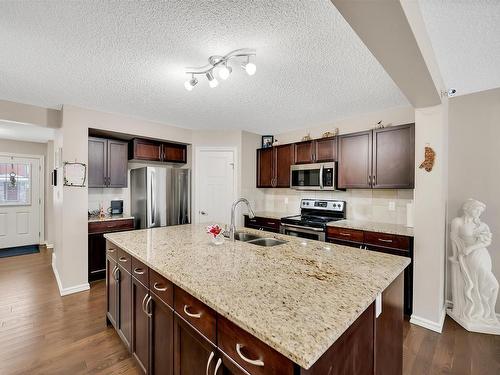 21916 90 Avenue, Edmonton, AB - Indoor Photo Showing Kitchen With Double Sink