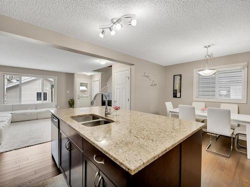 21916 90 Avenue, Edmonton, AB - Indoor Photo Showing Kitchen With Double Sink