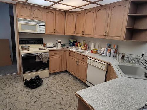 1003 James Crescent, Edmonton, AB - Indoor Photo Showing Kitchen