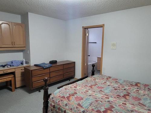 1003 James Crescent, Edmonton, AB - Indoor Photo Showing Bedroom