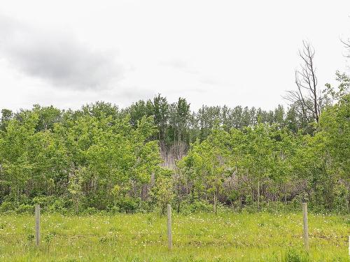 Hwy 779 Twp 544, Rural Sturgeon County, AB 