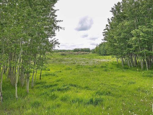 Hwy 779 Twp 544, Rural Sturgeon County, AB 