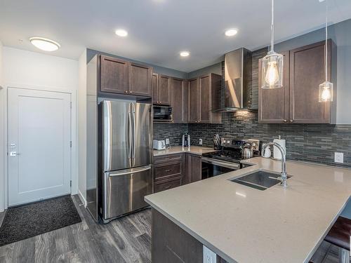 512 1316 Windermere Way, Edmonton, AB - Indoor Photo Showing Kitchen With Double Sink With Upgraded Kitchen