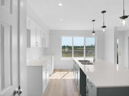 17318 6A Street, Edmonton, AB - Indoor Photo Showing Kitchen With Double Sink