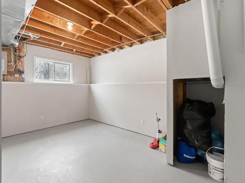 11913 63 St, Edmonton, AB - Indoor Photo Showing Basement