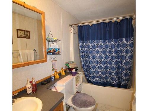 61515 Rg Rd 261, Rural Westlock County, AB - Indoor Photo Showing Bathroom