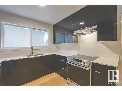 12825 87 Street, Edmonton, AB - Indoor Photo Showing Kitchen With Double Sink