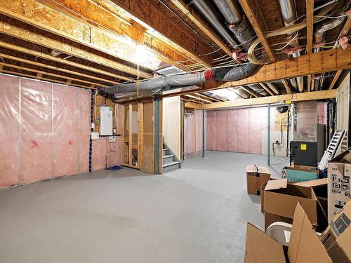 20733 99A Avenue Nw, Edmonton, AB - Indoor Photo Showing Basement