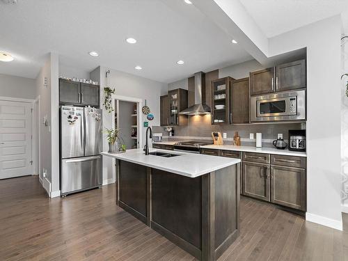 20733 99A Avenue Nw, Edmonton, AB - Indoor Photo Showing Kitchen With Stainless Steel Kitchen With Upgraded Kitchen