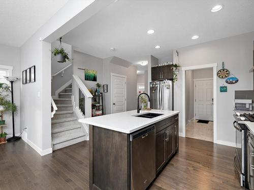 20733 99A Avenue Nw, Edmonton, AB - Indoor Photo Showing Kitchen With Double Sink With Upgraded Kitchen