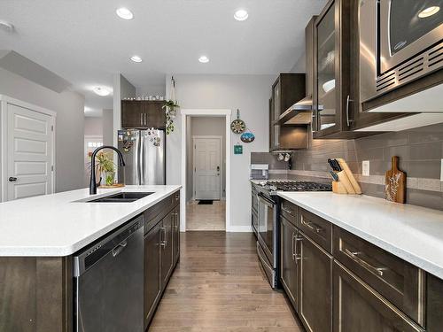 20733 99A Avenue Nw, Edmonton, AB - Indoor Photo Showing Kitchen With Double Sink With Upgraded Kitchen