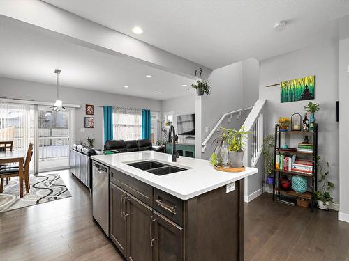 20733 99A Avenue Nw, Edmonton, AB - Indoor Photo Showing Kitchen With Double Sink