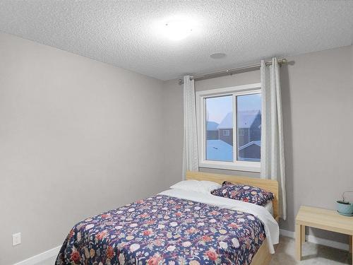 8404 24 Avenue Sw, Edmonton, AB - Indoor Photo Showing Bedroom