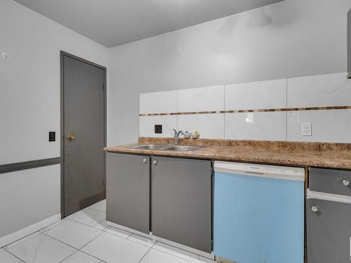 2111 53 Street, Edmonton, AB - Indoor Photo Showing Kitchen With Double Sink