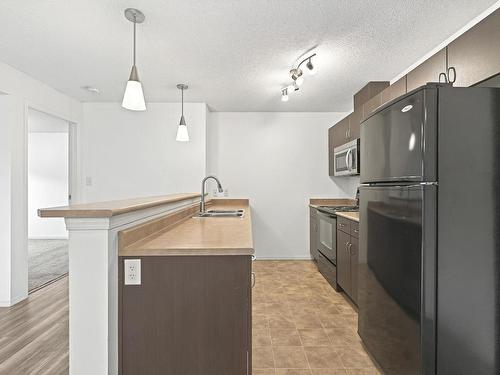 306 1188 Hyndman Road, Edmonton, AB - Indoor Photo Showing Kitchen With Double Sink