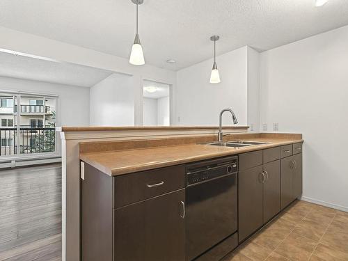 306 1188 Hyndman Road, Edmonton, AB - Indoor Photo Showing Kitchen With Double Sink