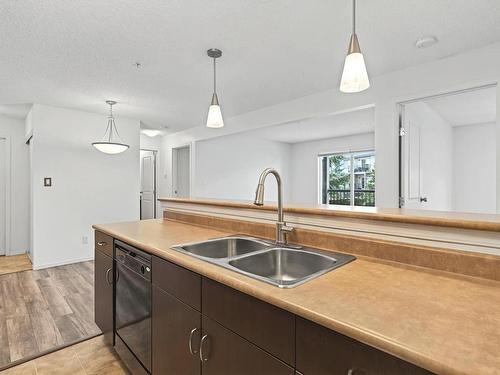 306 1188 Hyndman Road, Edmonton, AB - Indoor Photo Showing Kitchen With Double Sink